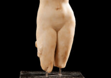 If you have a Venus, you have a treasure